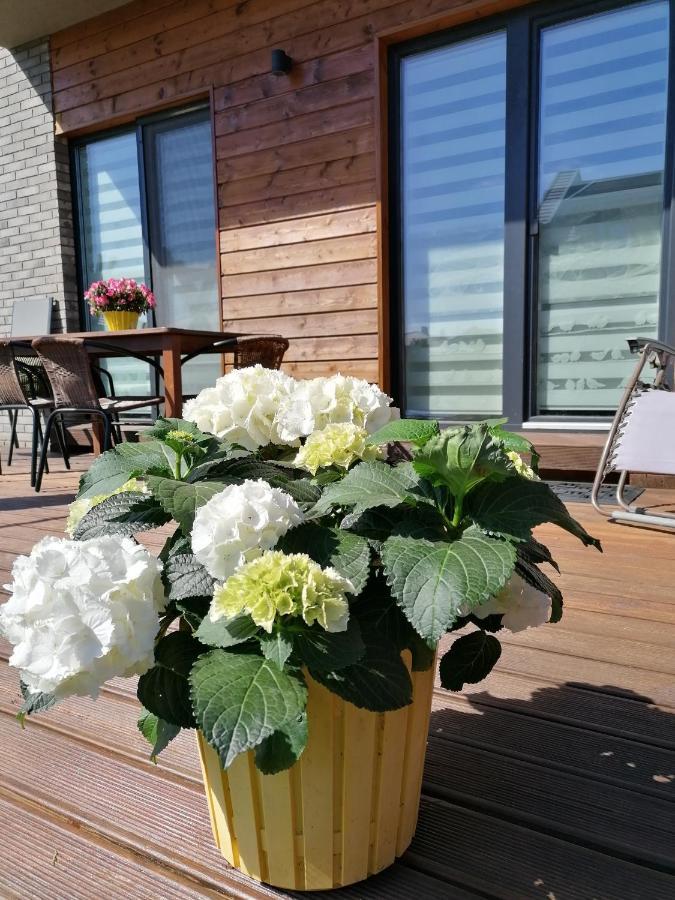 Geltoni Apartamentai パランガ エクステリア 写真