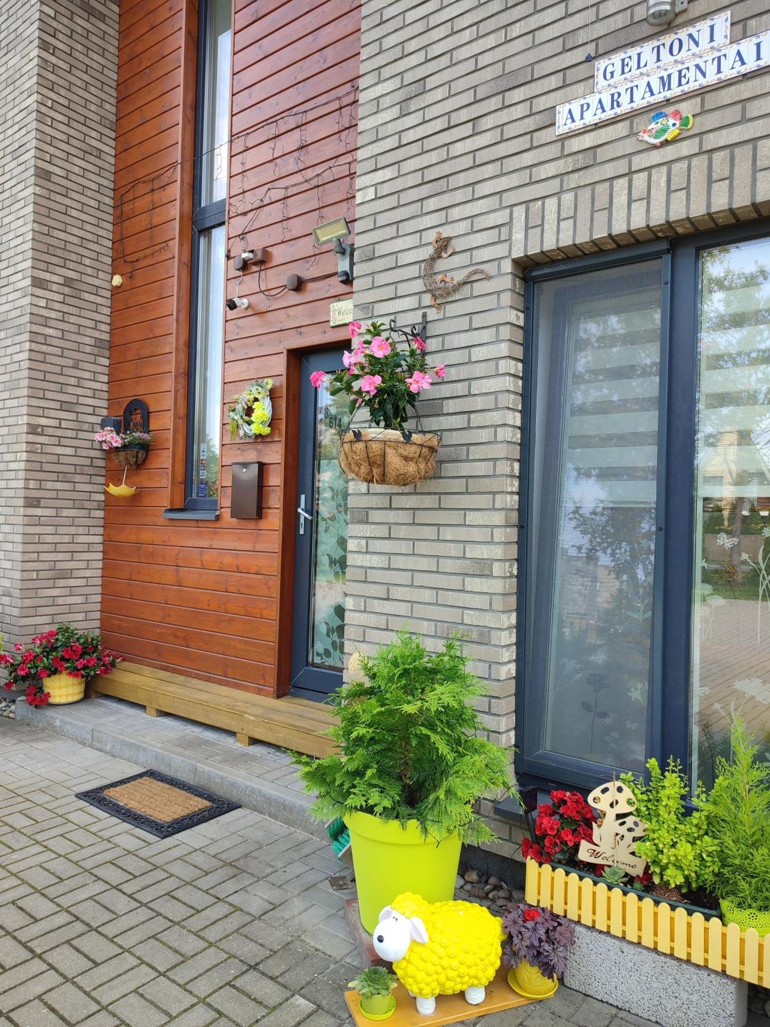 Geltoni Apartamentai パランガ エクステリア 写真